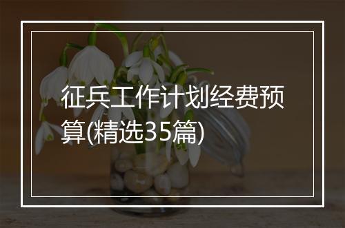 征兵工作计划经费预算(精选35篇)