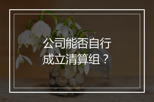 公司能否自行成立清算组？