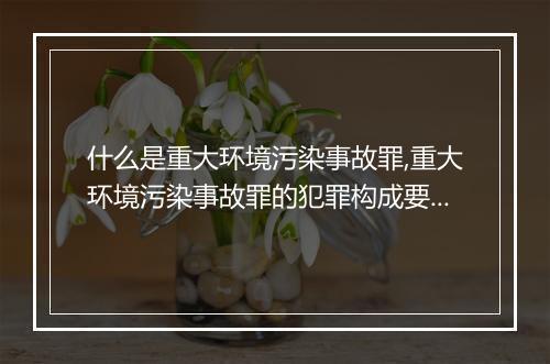 什么是重大环境污染事故罪,重大环境污染事故罪的犯罪构成要件有哪些