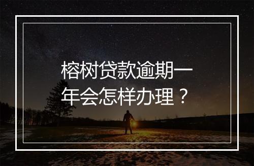榕树贷款逾期一年会怎样办理？