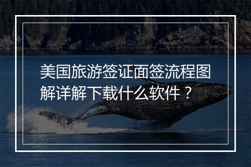 美国旅游签证面签流程图解详解下载什么软件？