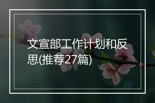 文宣部工作计划和反思(推荐27篇)
