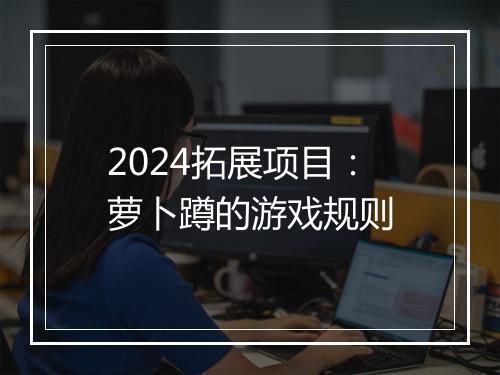 2024拓展项目：萝卜蹲的游戏规则