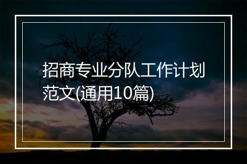 招商专业分队工作计划范文(通用10篇)