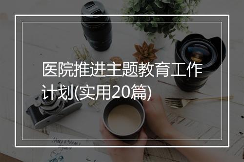 医院推进主题教育工作计划(实用20篇)
