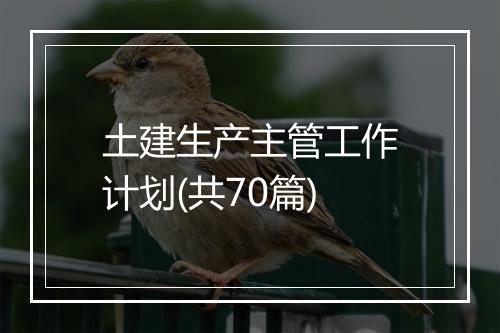 土建生产主管工作计划(共70篇)