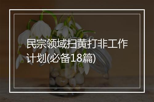 民宗领域扫黄打非工作计划(必备18篇)