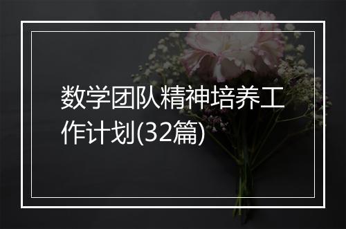 数学团队精神培养工作计划(32篇)