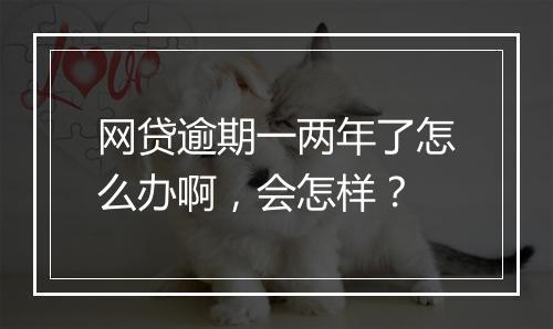 网贷逾期一两年了怎么办啊，会怎样？
