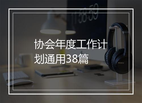 协会年度工作计划通用38篇