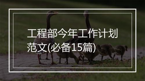 工程部今年工作计划范文(必备15篇)