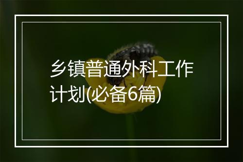 乡镇普通外科工作计划(必备6篇)