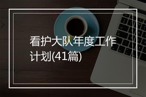 看护大队年度工作计划(41篇)