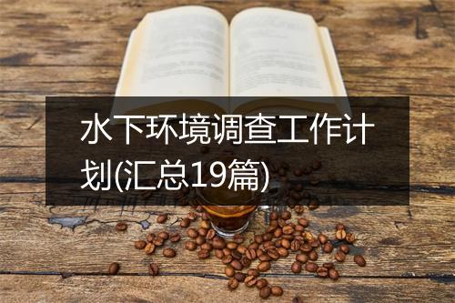 水下环境调查工作计划(汇总19篇)