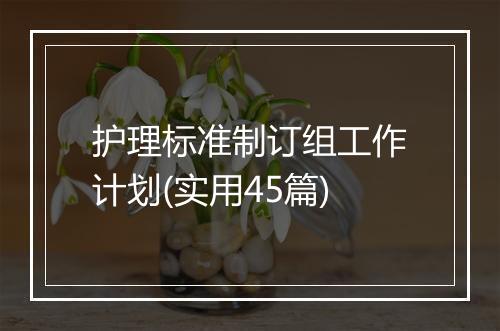 护理标准制订组工作计划(实用45篇)