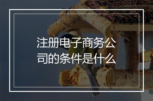 注册电子商务公司的条件是什么