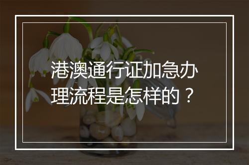 港澳通行证加急办理流程是怎样的？