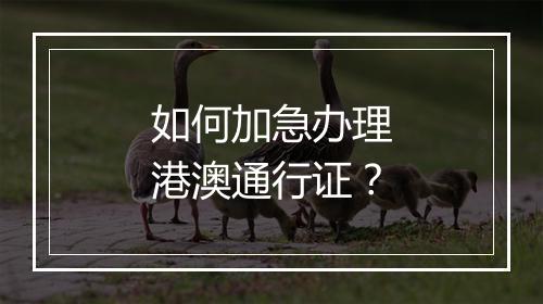 如何加急办理港澳通行证？