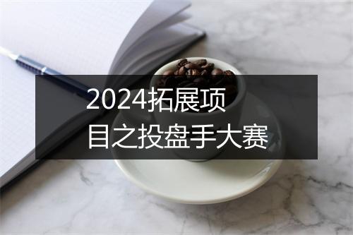 2024拓展项目之投盘手大赛