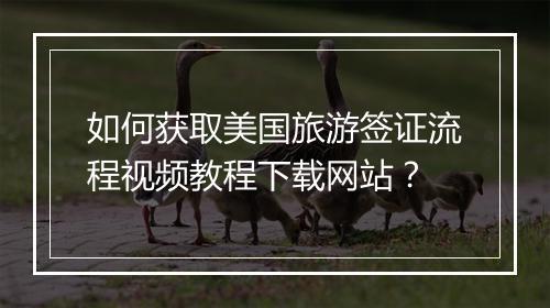 如何获取美国旅游签证流程视频教程下载网站？