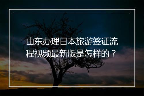 山东办理日本旅游签证流程视频最新版是怎样的？