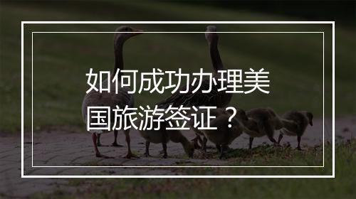 如何成功办理美国旅游签证？