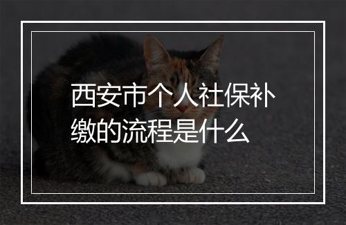 西安市个人社保补缴的流程是什么