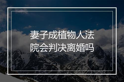 妻子成植物人法院会判决离婚吗