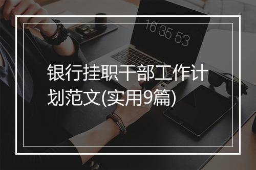 银行挂职干部工作计划范文(实用9篇)