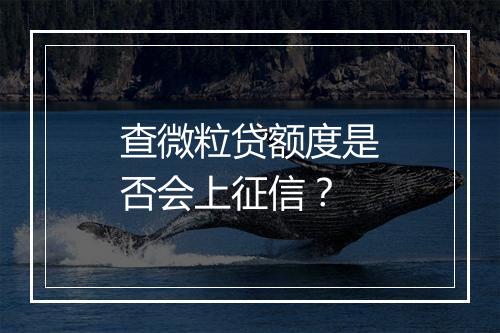 查微粒贷额度是否会上征信？