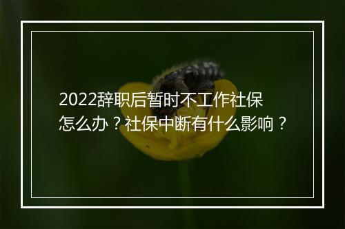 2022辞职后暂时不工作社保怎么办？社保中断有什么影响？