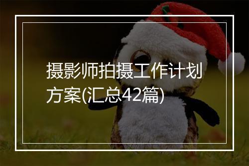 摄影师拍摄工作计划方案(汇总42篇)