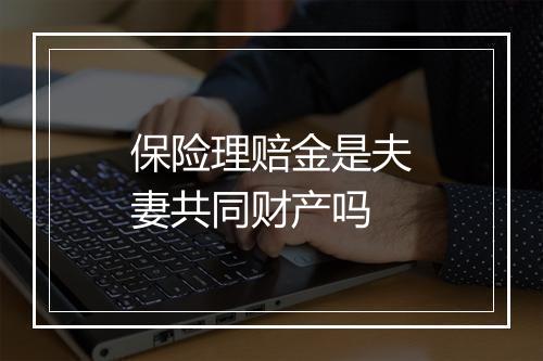 保险理赔金是夫妻共同财产吗