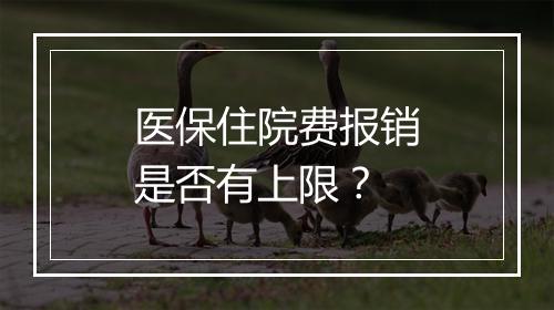 医保住院费报销是否有上限？