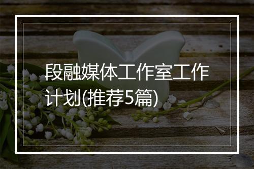 段融媒体工作室工作计划(推荐5篇)