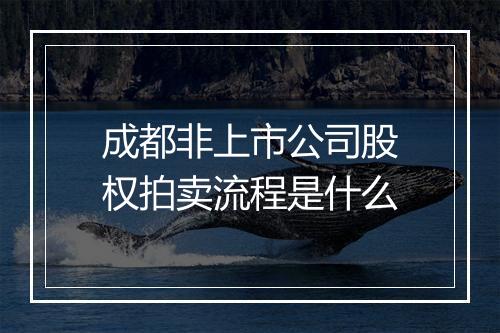 成都非上市公司股权拍卖流程是什么