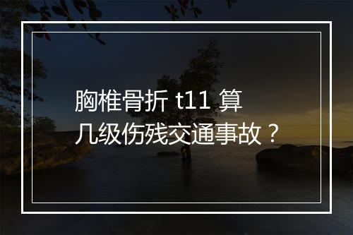 胸椎骨折 t11 算几级伤残交通事故？