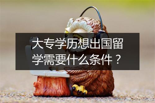 大专学历想出国留学需要什么条件？