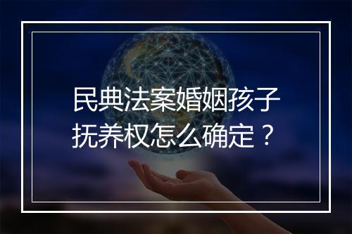 民典法案婚姻孩子抚养权怎么确定？
