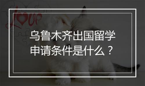 乌鲁木齐出国留学申请条件是什么？