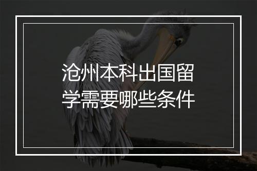 沧州本科出国留学需要哪些条件