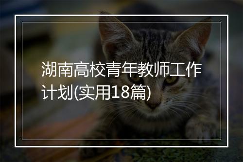 湖南高校青年教师工作计划(实用18篇)