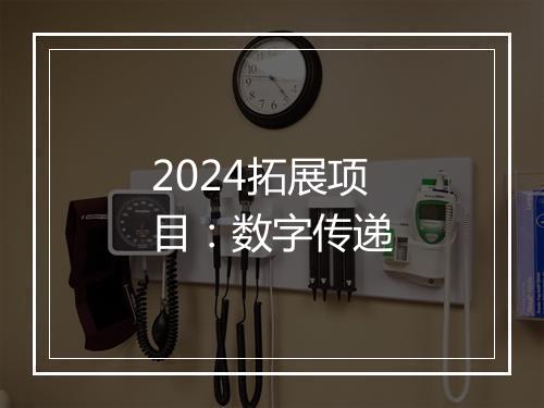 2024拓展项目：数字传递