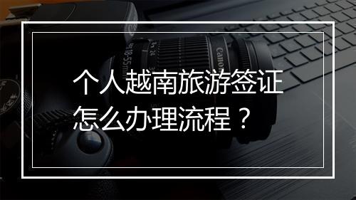 个人越南旅游签证怎么办理流程？