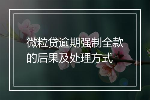 微粒贷逾期强制全款的后果及处理方式