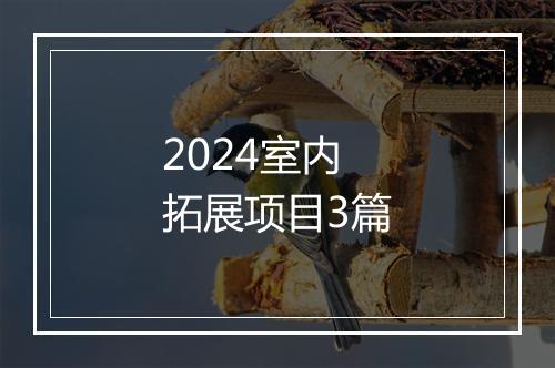 2024室内拓展项目3篇