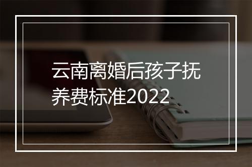 云南离婚后孩子抚养费标准2022