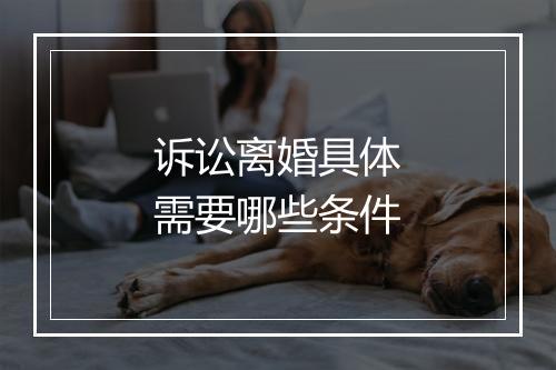 诉讼离婚具体需要哪些条件