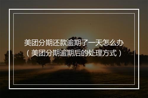美团分期还款逾期了一天怎么办（美团分期逾期后的处理方式）