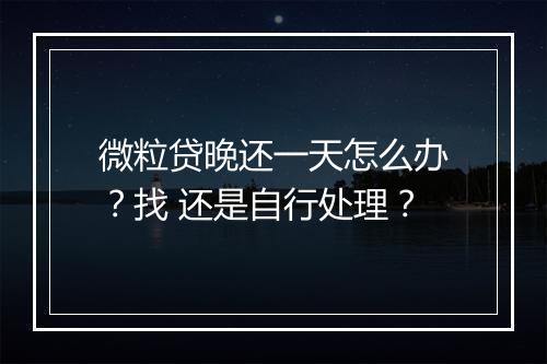 微粒贷晚还一天怎么办？找 还是自行处理？